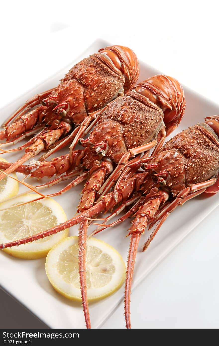 Three delicious hard boiled lobsters