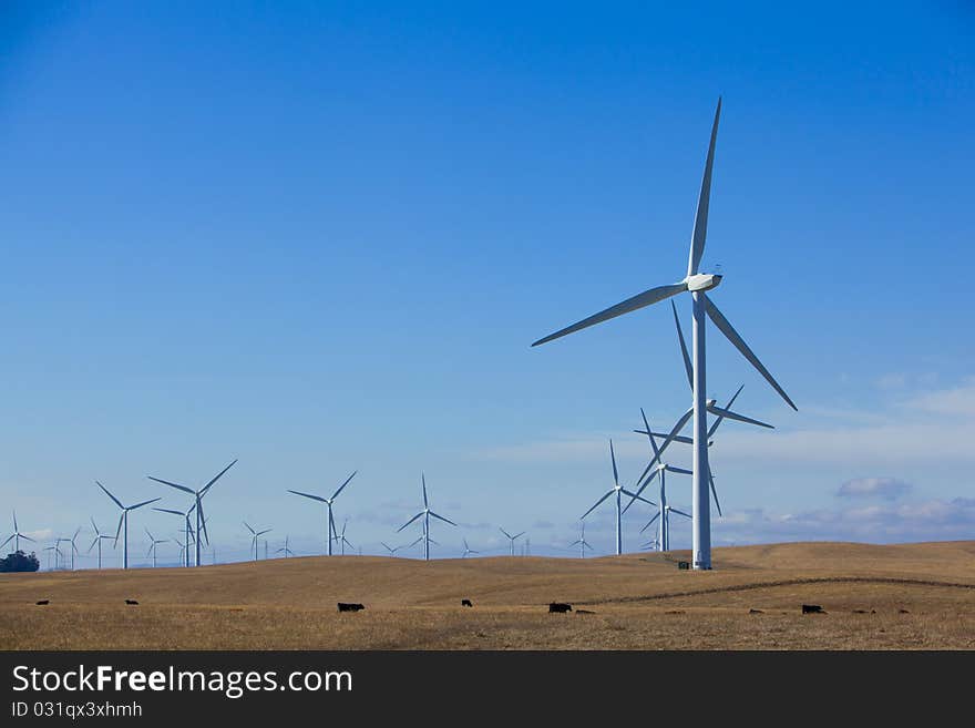 A wind farm in rolling foothills