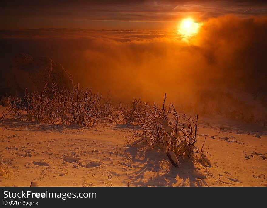 Winter morning