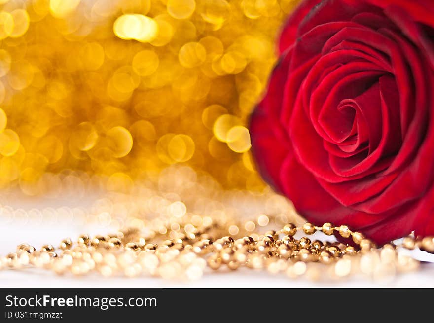 Erd rose with golden lights on background. Erd rose with golden lights on background