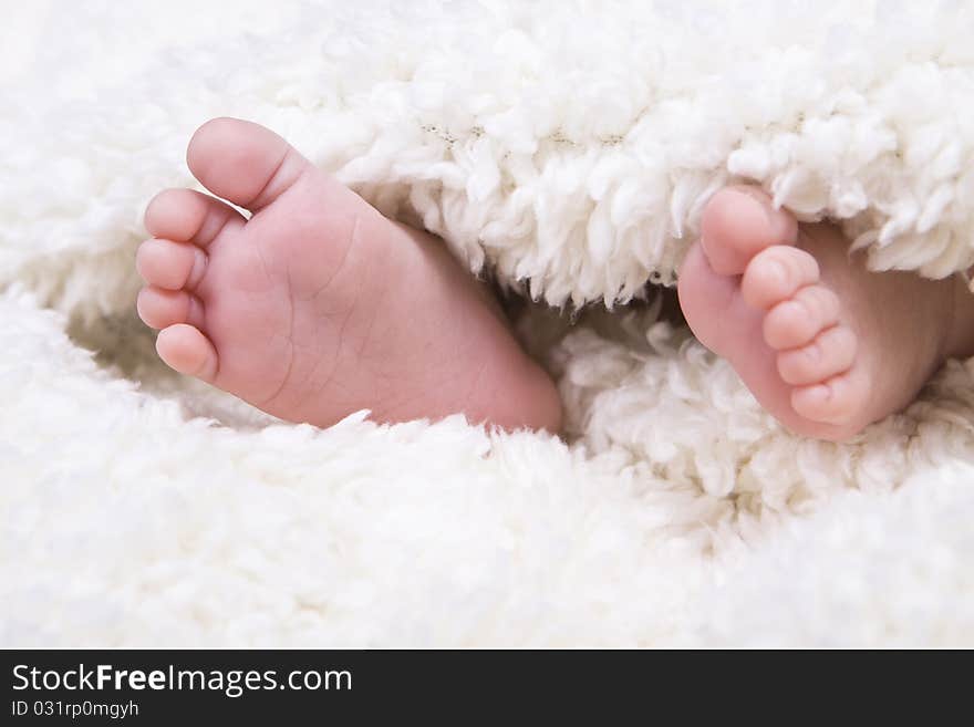 A pair of baby newborn feet in a soft white blanket