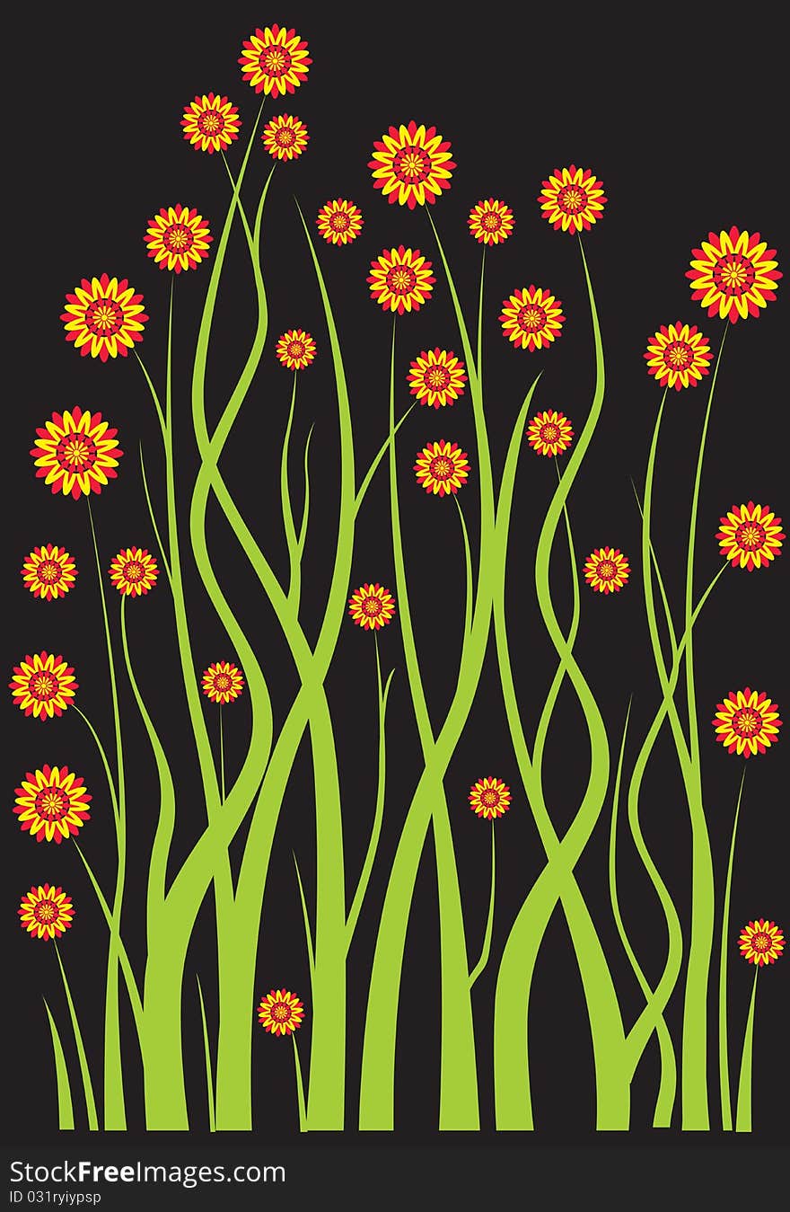 Background of the flowers on a black