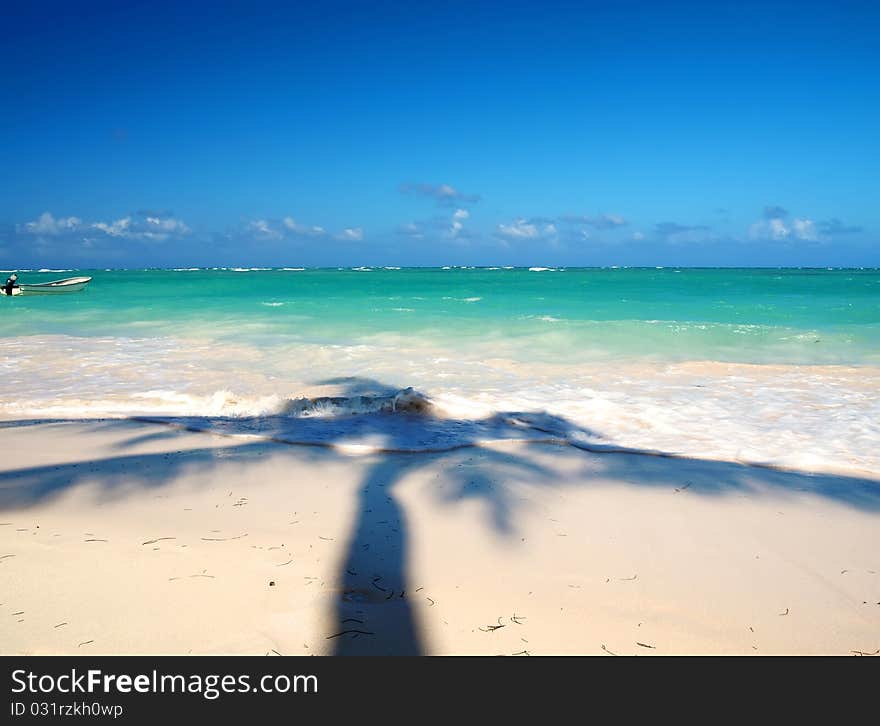 The shadow of the palms on the ocean. Dominican Republic