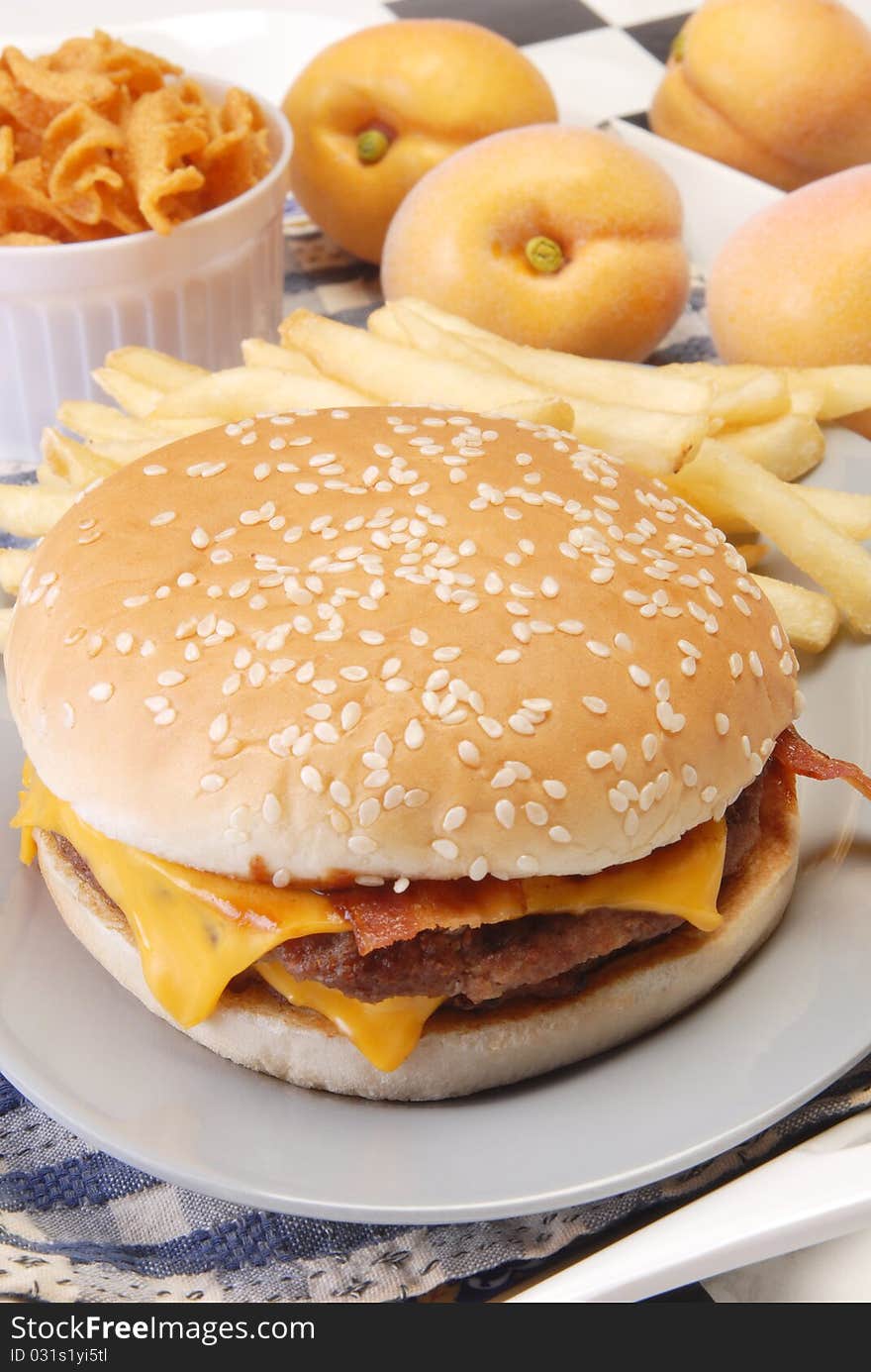 Cheeseburger with fries on the plate