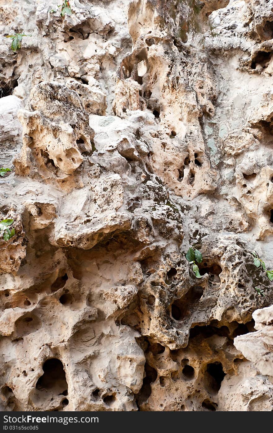 A large chunk of volcanic rock. A large chunk of volcanic rock