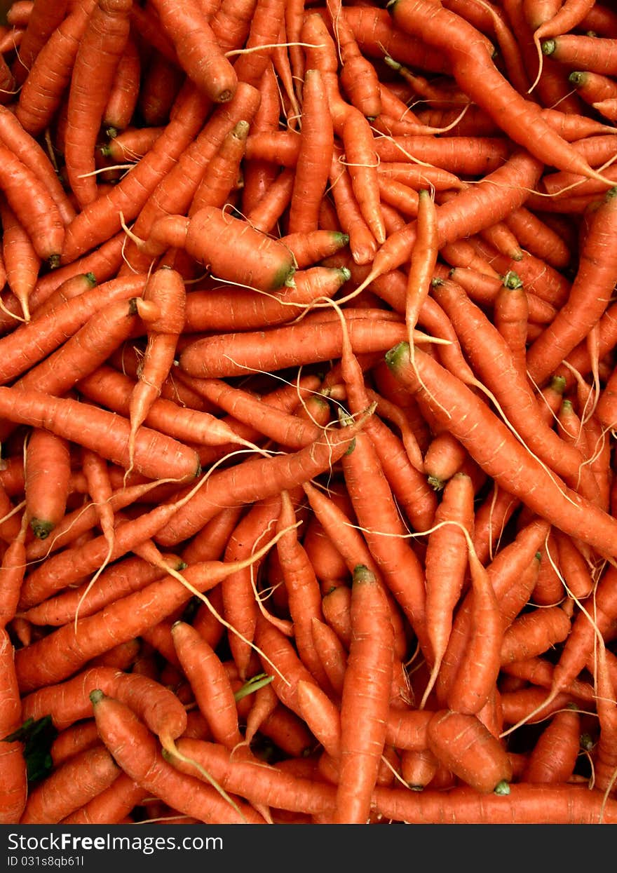 Bunch of Carrots