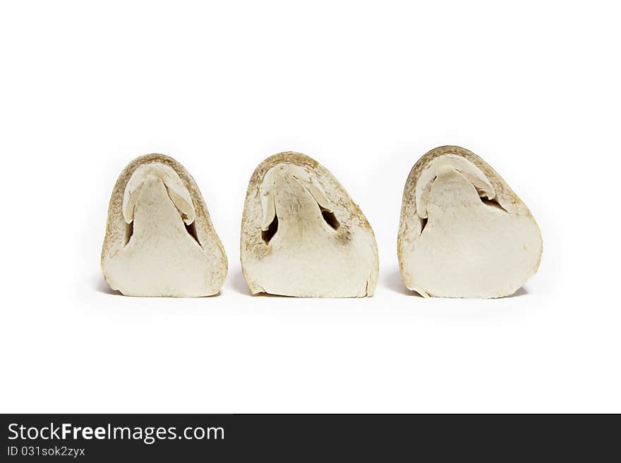 Three straw mushroom on the white background