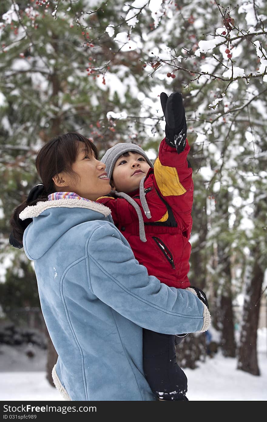 A boy being held by his mother reaches up for snow covered berries. A boy being held by his mother reaches up for snow covered berries.