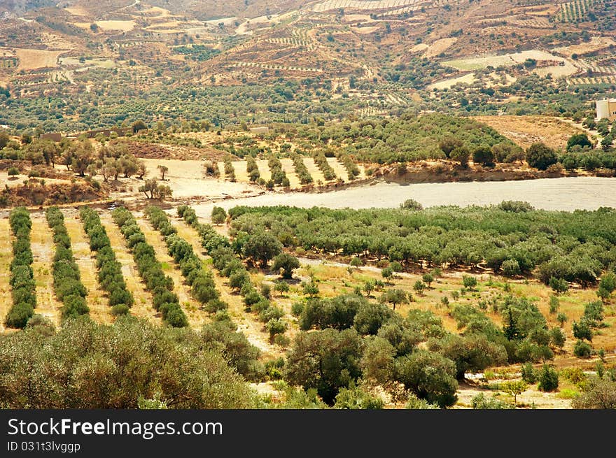 Picture of a harvest field