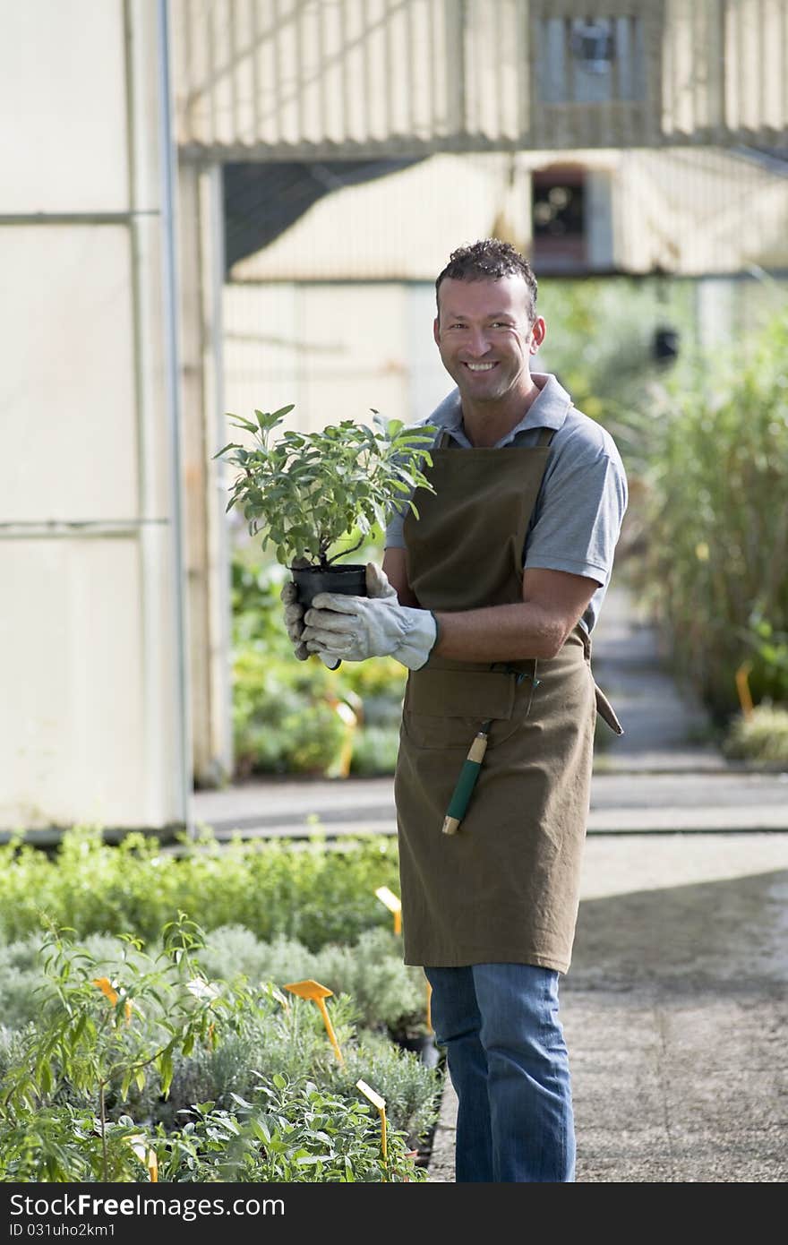 Gardener in a green house. Gardener in a green house