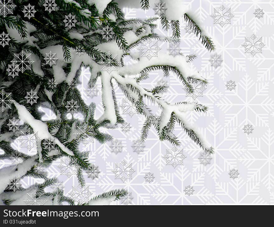 Christmas tree with snow star