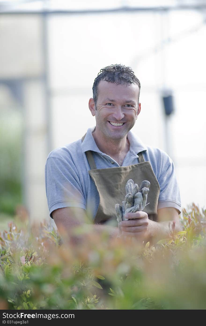 Smiling gardener in a greenhouse