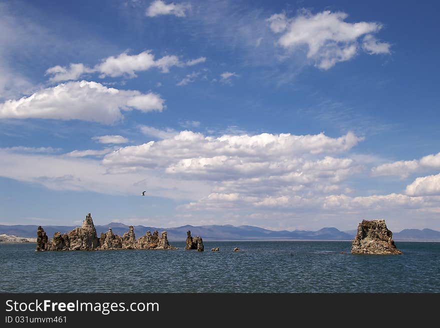 Seagull flying over tufa spires in Mono Lake Tufa State Nature Reserve, near Lee Vining, CA