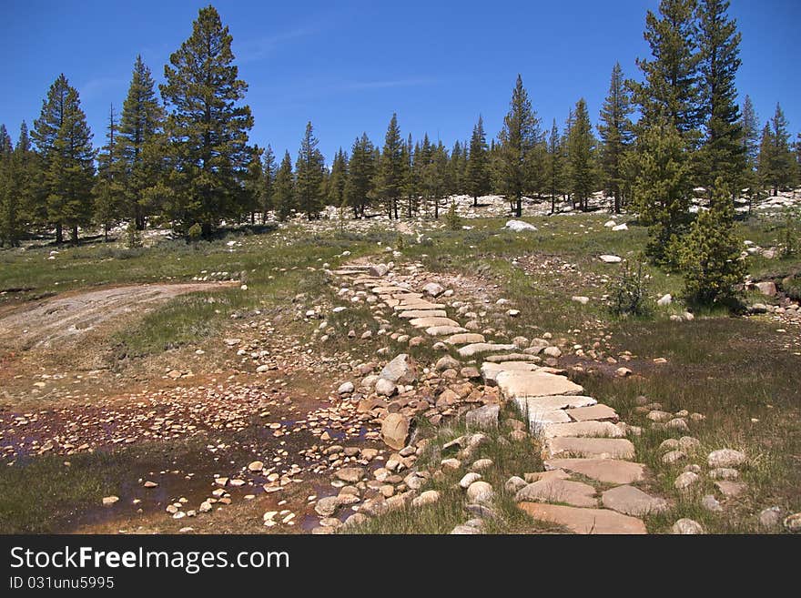 Trail through Soda Springs, where naturally carbonated cold water is bubbling out of the ground, Yosemite National Park, CA