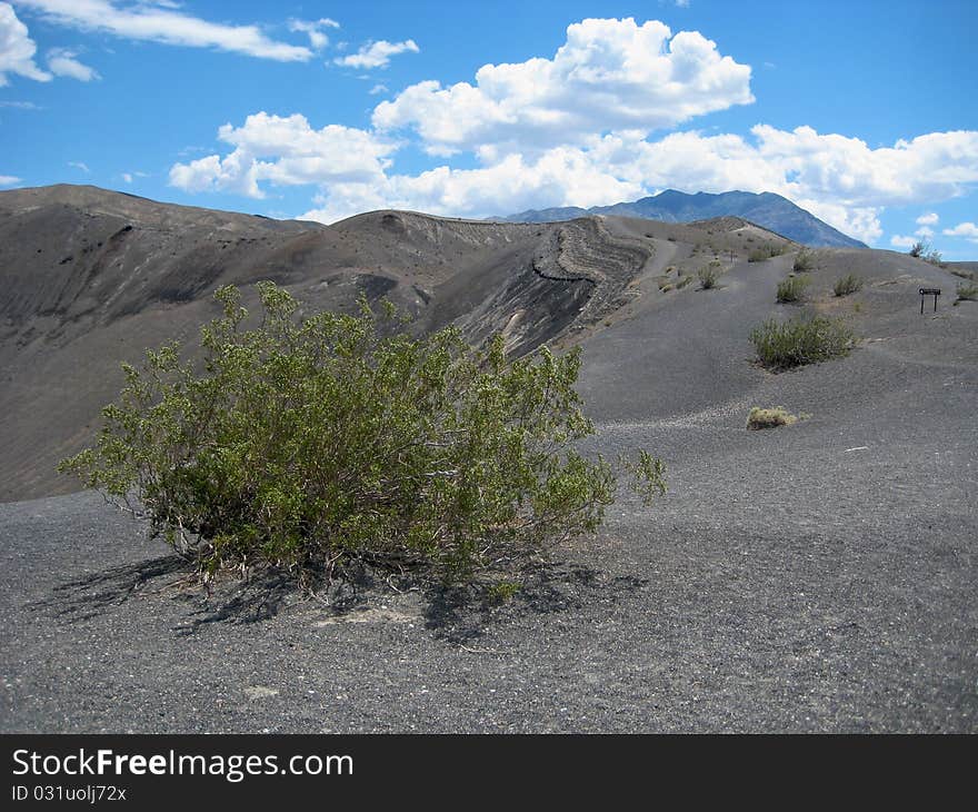 Scattered shrubs on the rim of the Ubehebe Crater, Death Valley National Park. Scattered shrubs on the rim of the Ubehebe Crater, Death Valley National Park