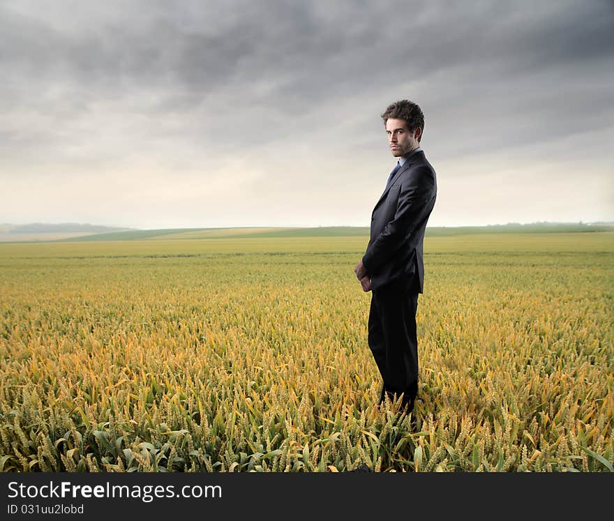 Young businessman standing on a wheat field. Young businessman standing on a wheat field