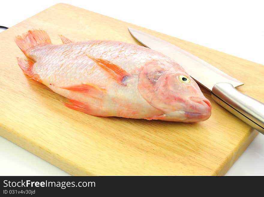 Red tilapia on wood chopping block .