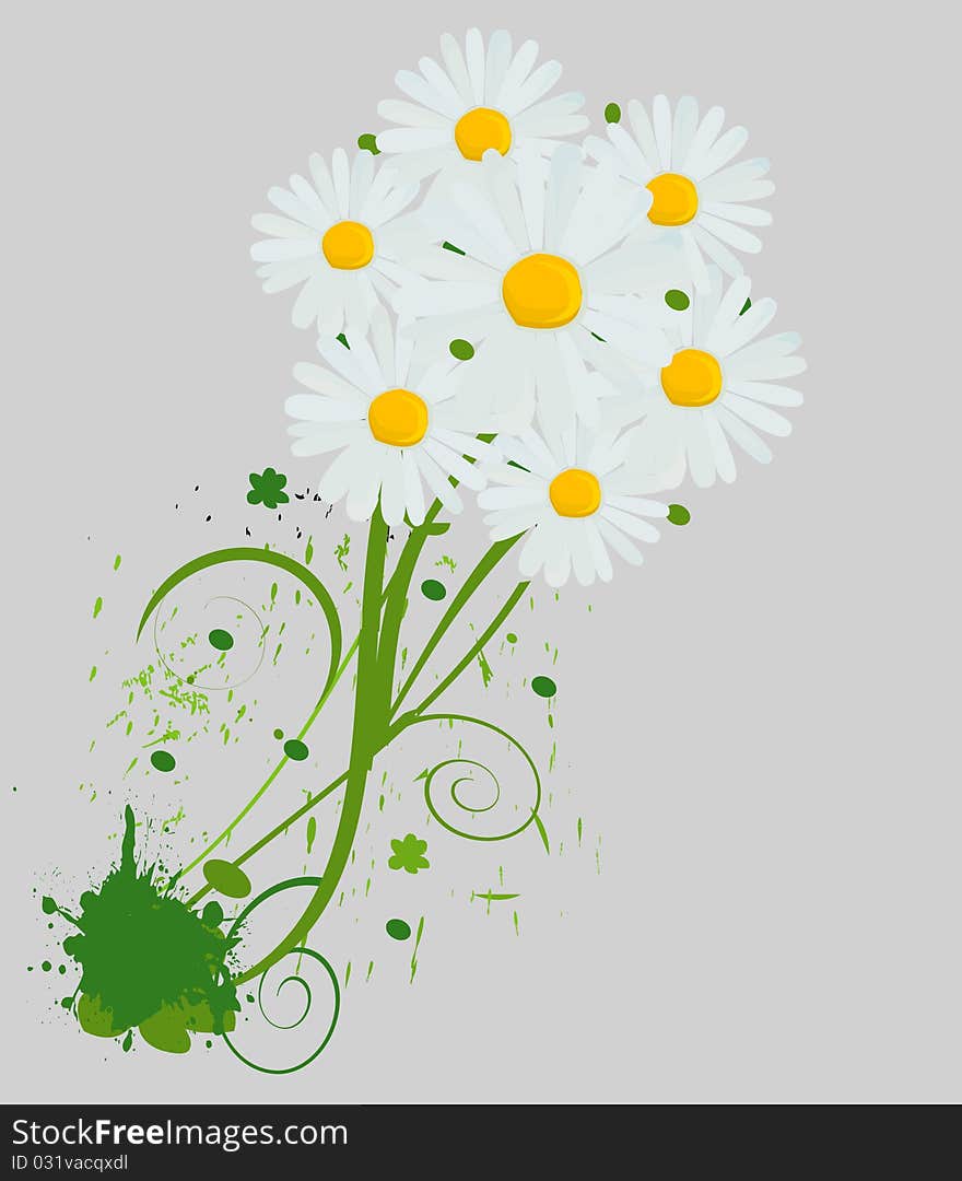 Beautiful camomile bright bouquet background