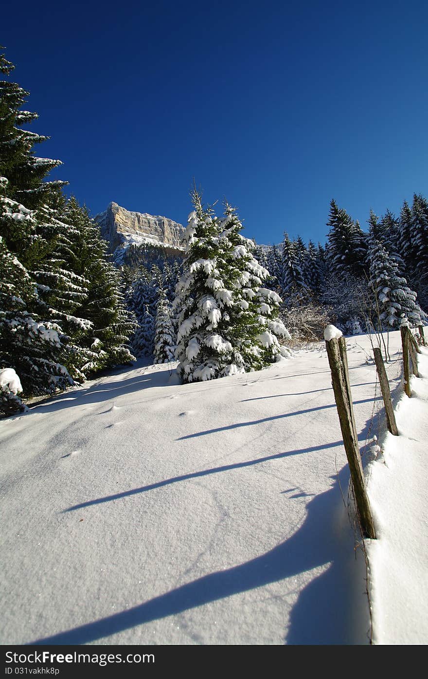 Hike on snow in chartreuse park in french alps