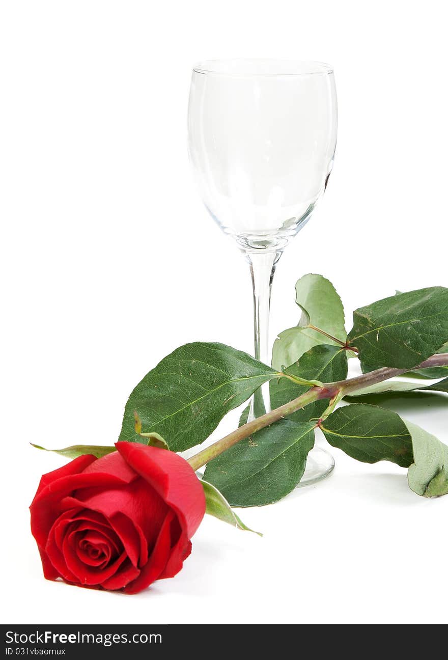 Red rose and a glass cup on a white background