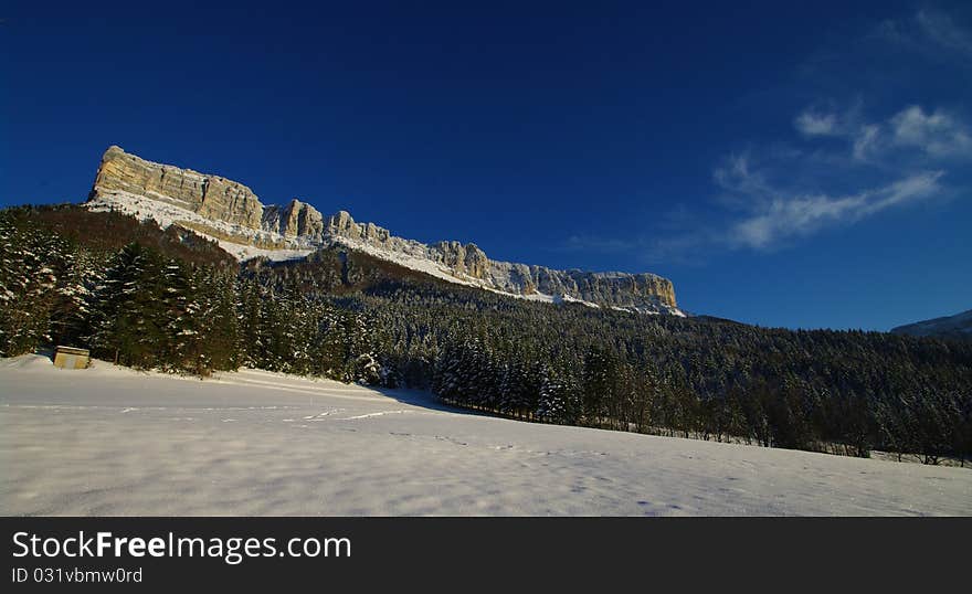 Chartreuse park covered with the first snow in french alps