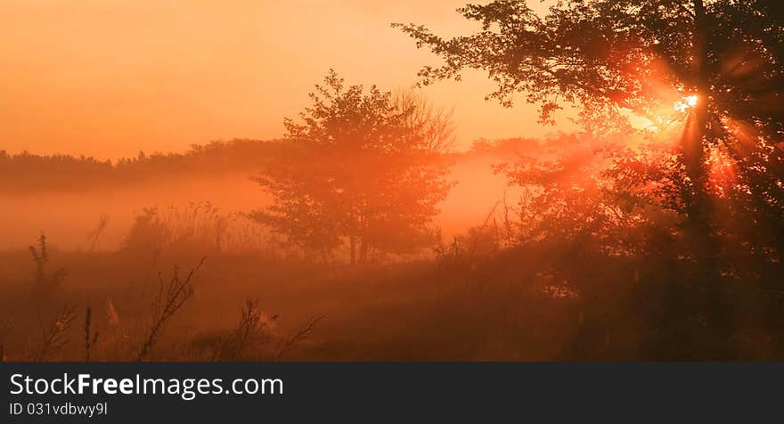 The first rays of the rising sun pass through the fog in a field near the lake on a spring morning. The first rays of the rising sun pass through the fog in a field near the lake on a spring morning