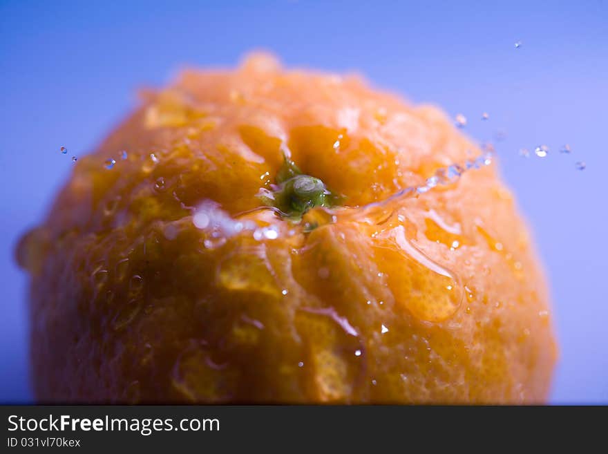 Water drop under the mandarin. Water drop under the mandarin