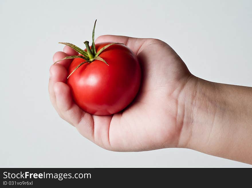 Photo of a childs Hand grabing and holding a Tomato. Photo of a childs Hand grabing and holding a Tomato