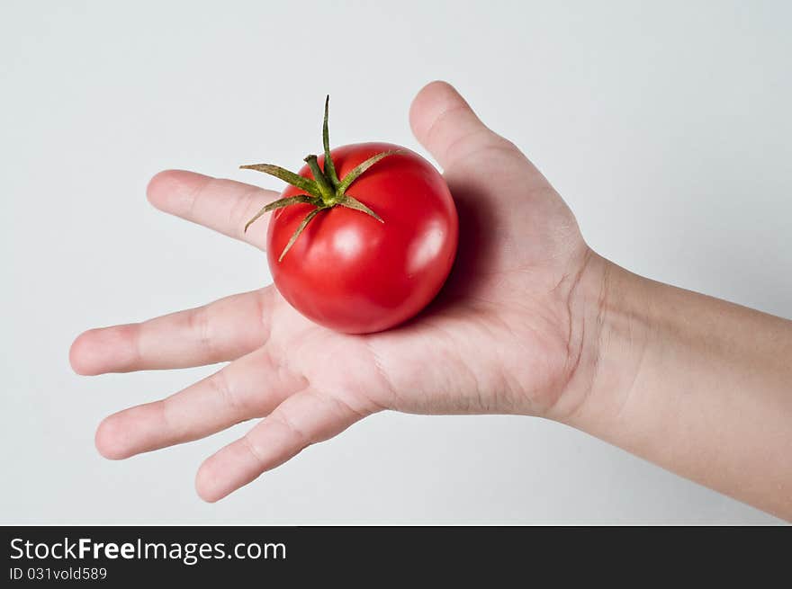 Photo of a childs palm holding a Tomato. Photo of a childs palm holding a Tomato