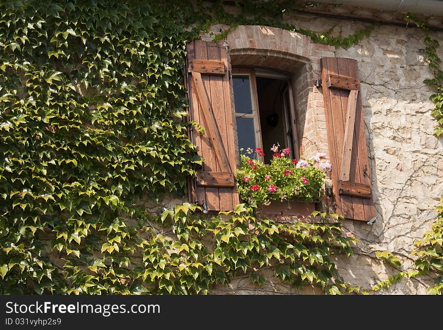 Window of wood with vine