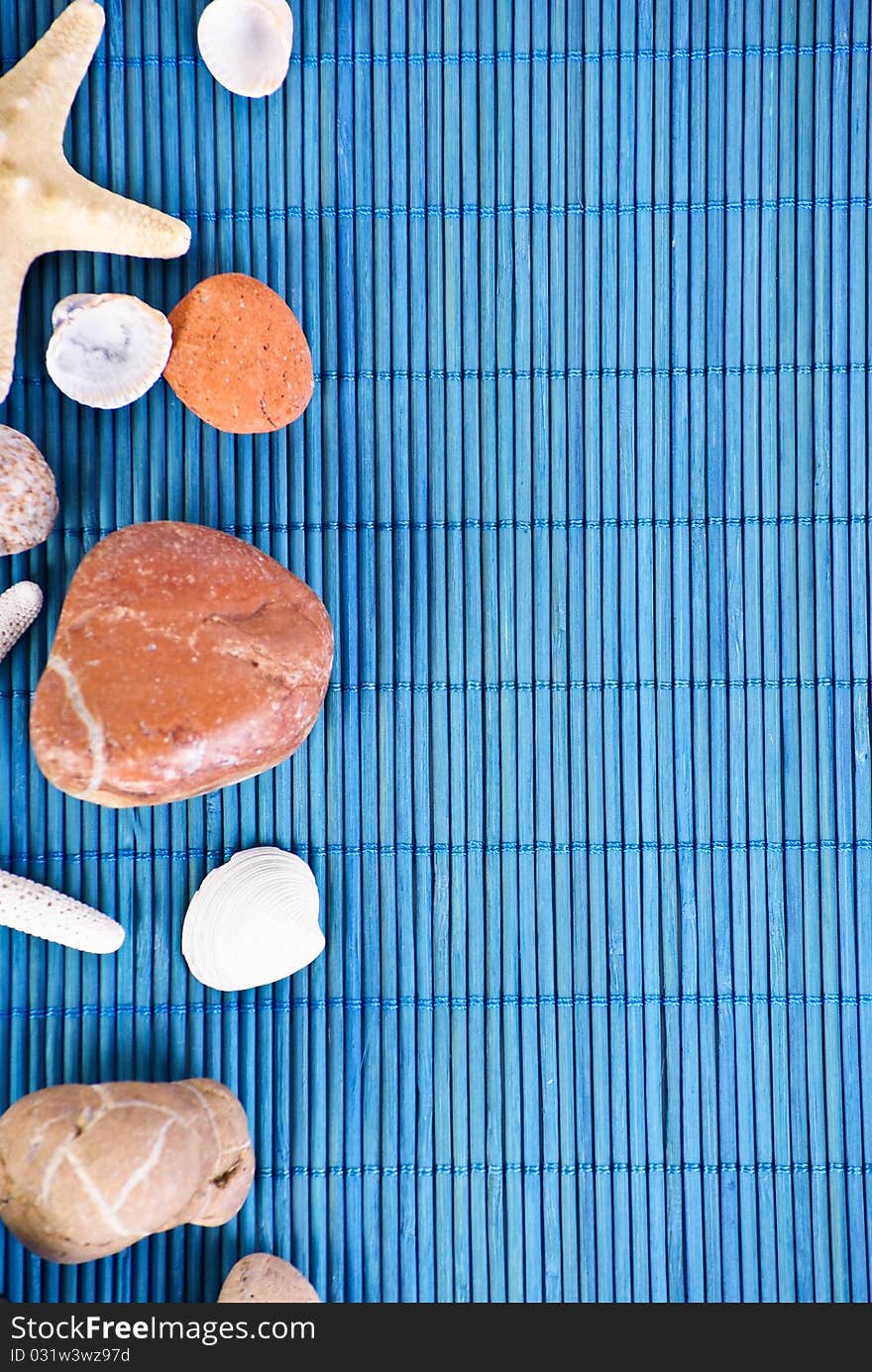 Shells and stones photographed on a blue background