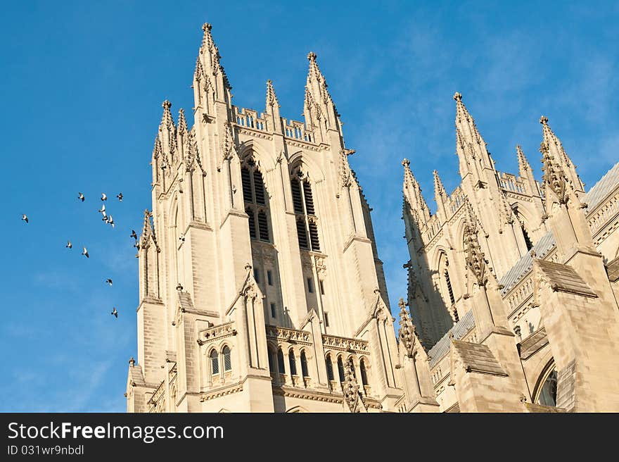 Pigeons flying around the Steeples. Pigeons flying around the Steeples