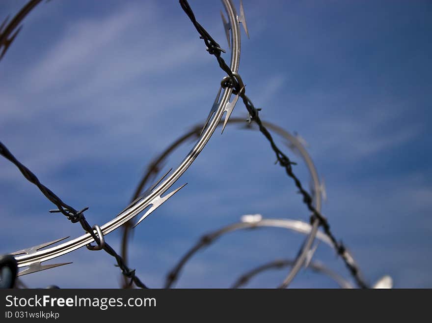 A detail of a barb wire fence. A detail of a barb wire fence.