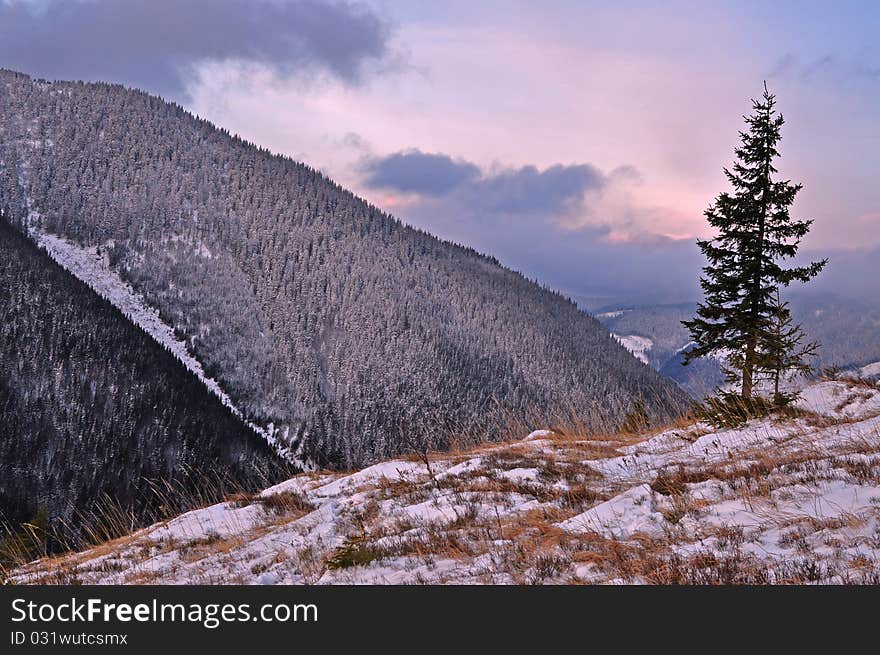 Dawn In Mountains