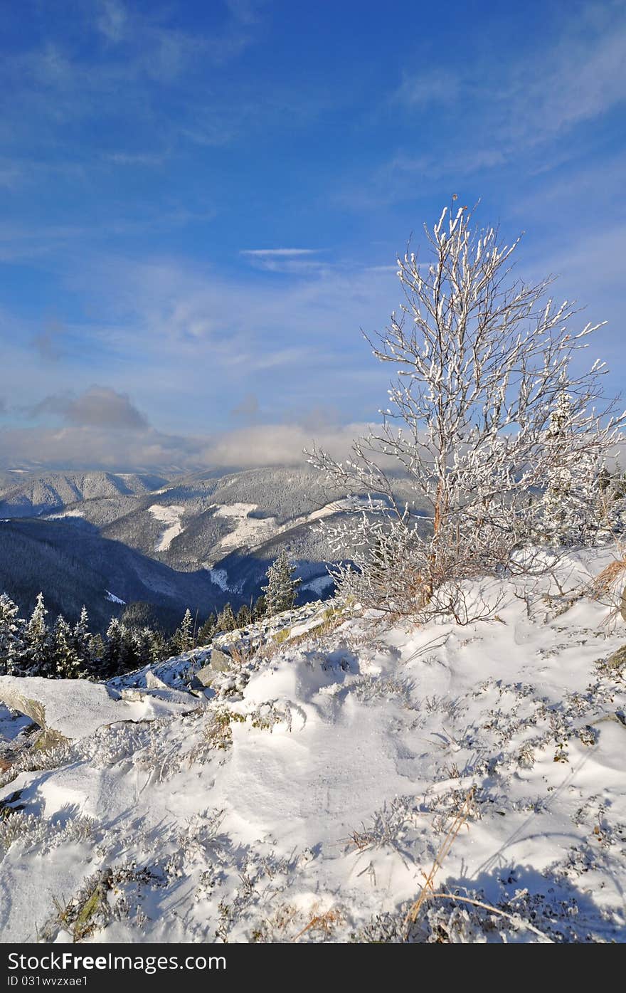 Winter On A Hillside.