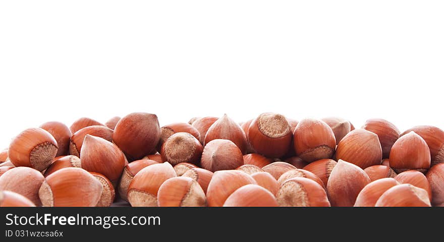 Close up shot of hazelnuts isolated on white