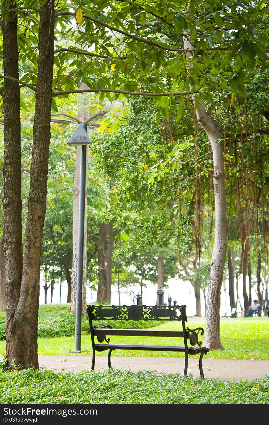 Bench in the park. Recreational area general nature.