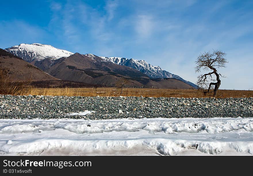 Baikal, cape Dug in winter with a type on mountains and a tree