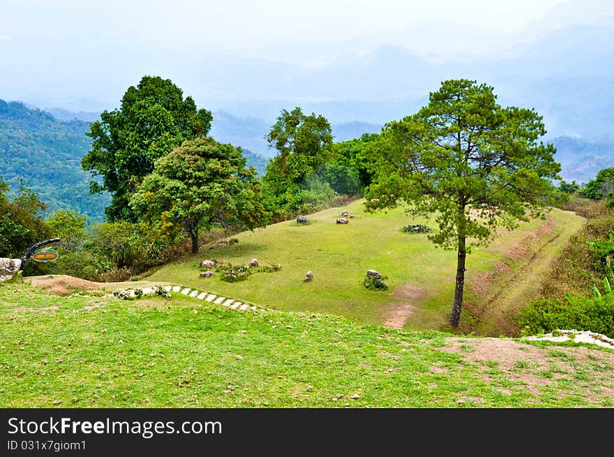 Landscape Of Field On Mountain