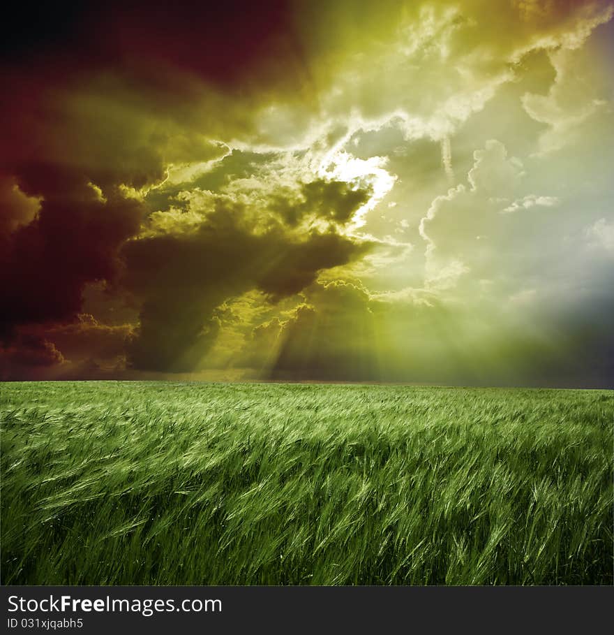 Green meadow under blue sky with clouds. Green meadow under blue sky with clouds