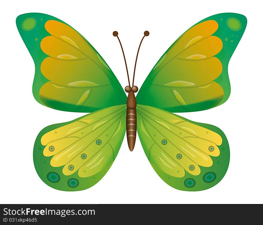 A beautiful green butterfly isolated. A beautiful green butterfly isolated