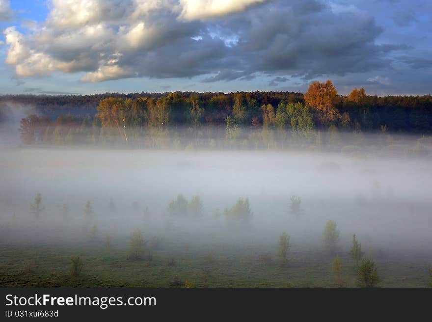 Morning at Spring field, misty valley at dawn