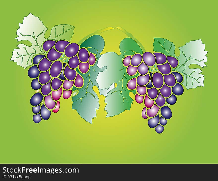 Branches Of Ripe Grapes