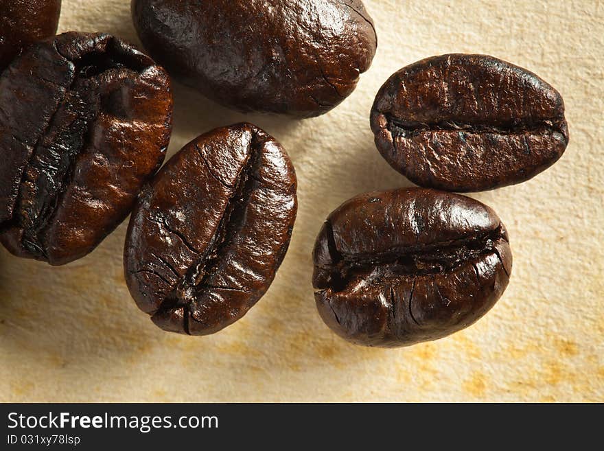 Close up coffee bean on grunge paper