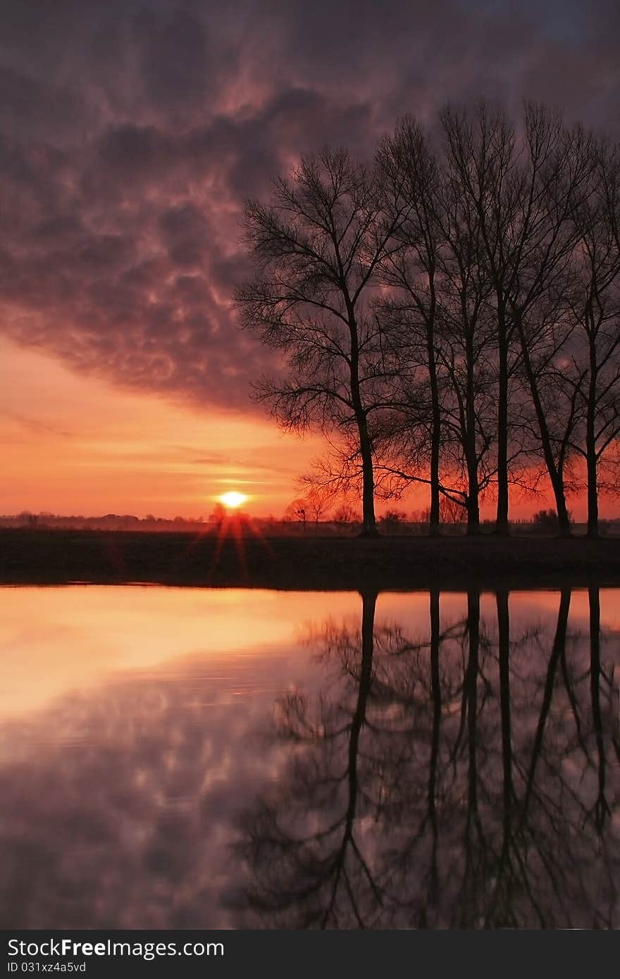 Misty dawn at the lake in a spring morning. Misty dawn at the lake in a spring morning