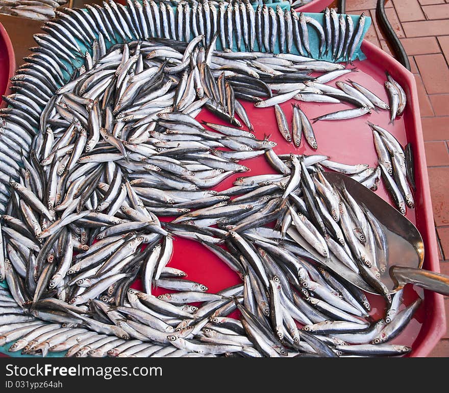 Fresh fish at a market