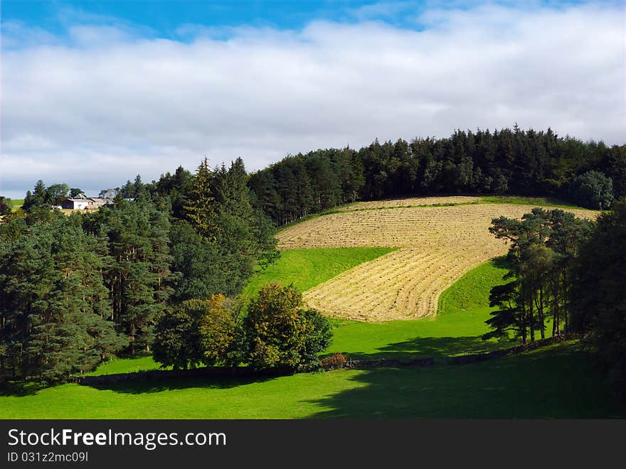 A ploughed field and woods in the Yorkshire Dales near Sedbergh. A ploughed field and woods in the Yorkshire Dales near Sedbergh