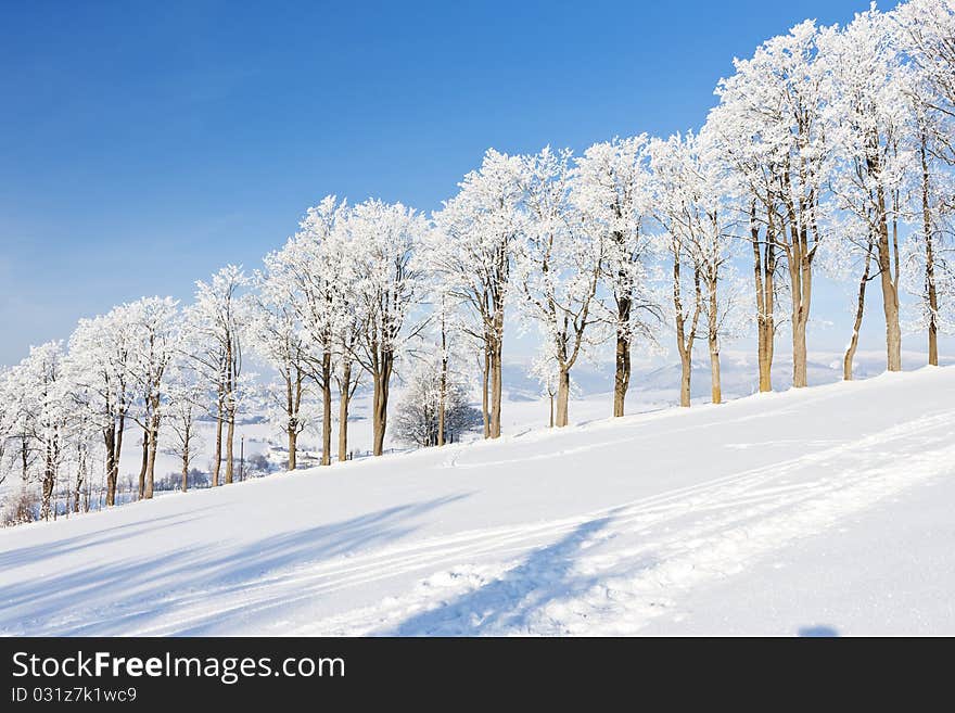 Winter landscape