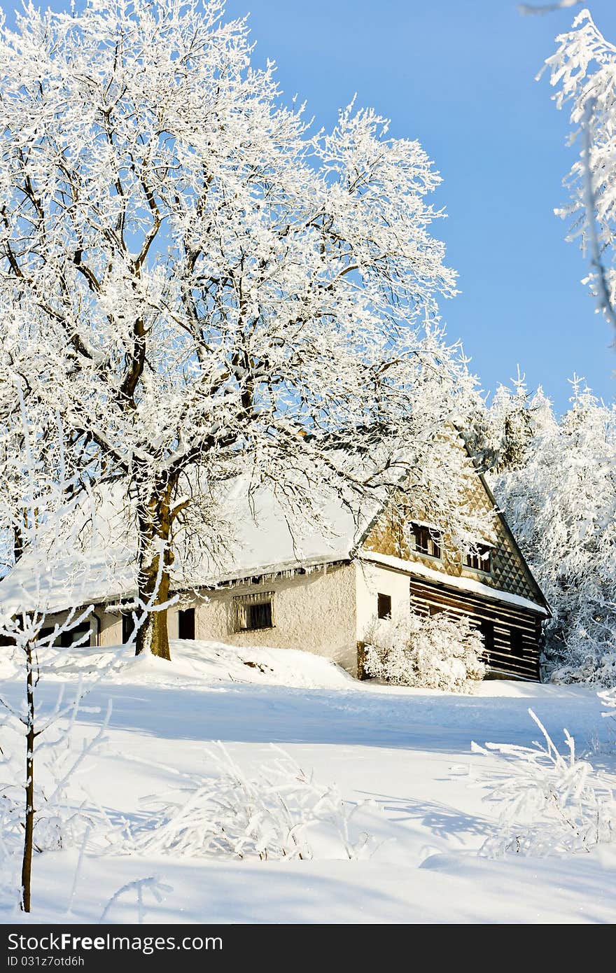 Cottage In Winter