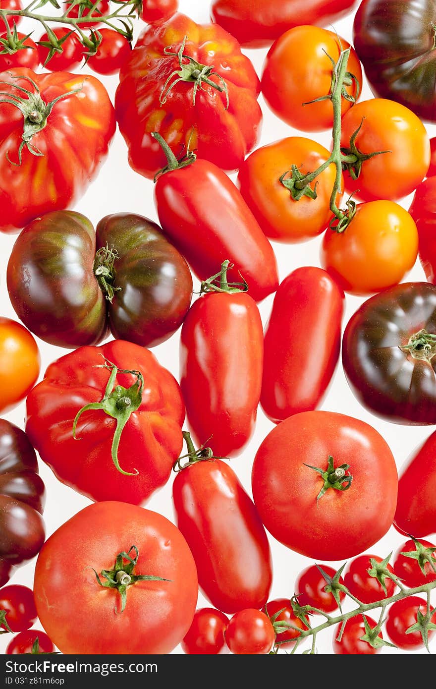 Still life of the tomatoes